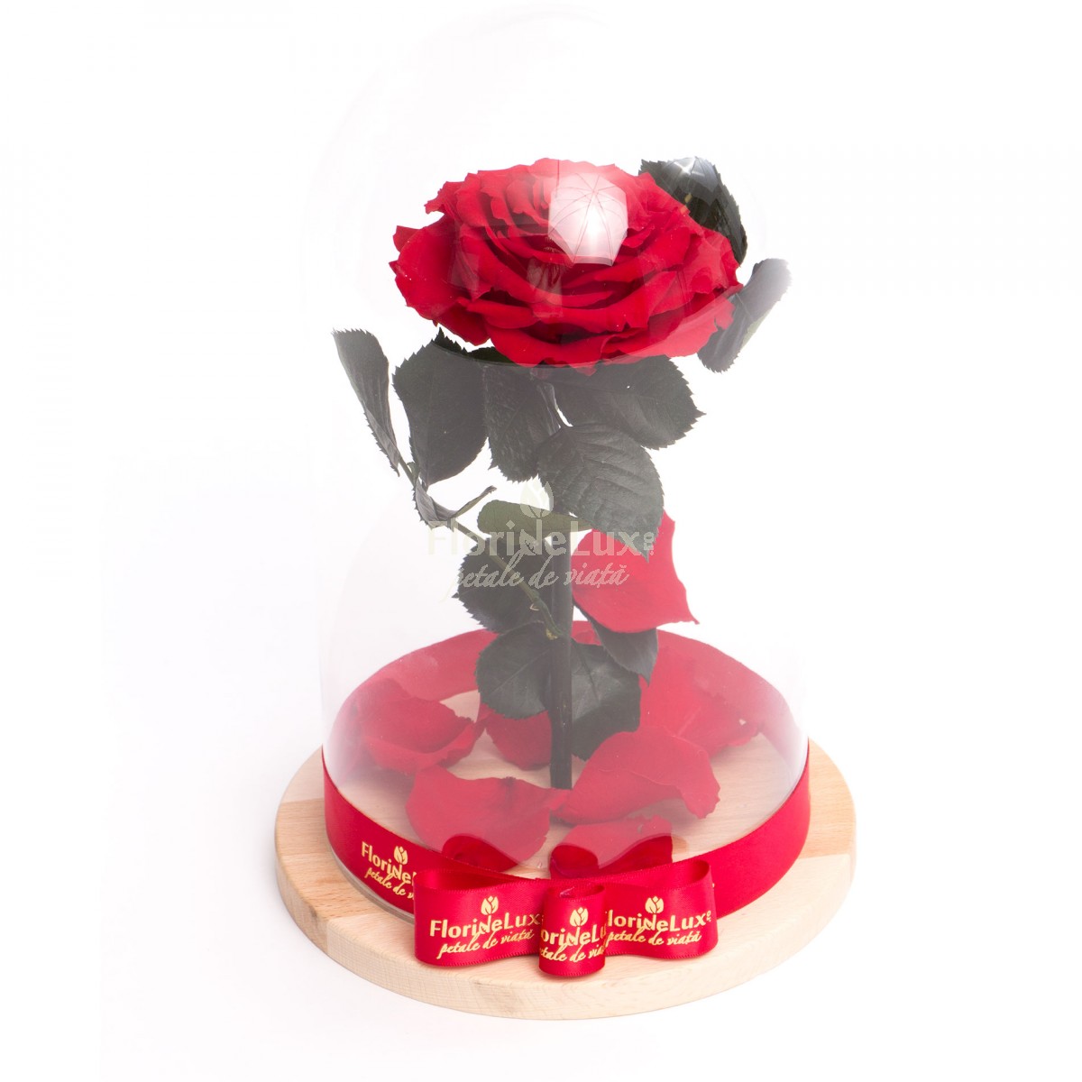 cupola trandafir criogenat elegant